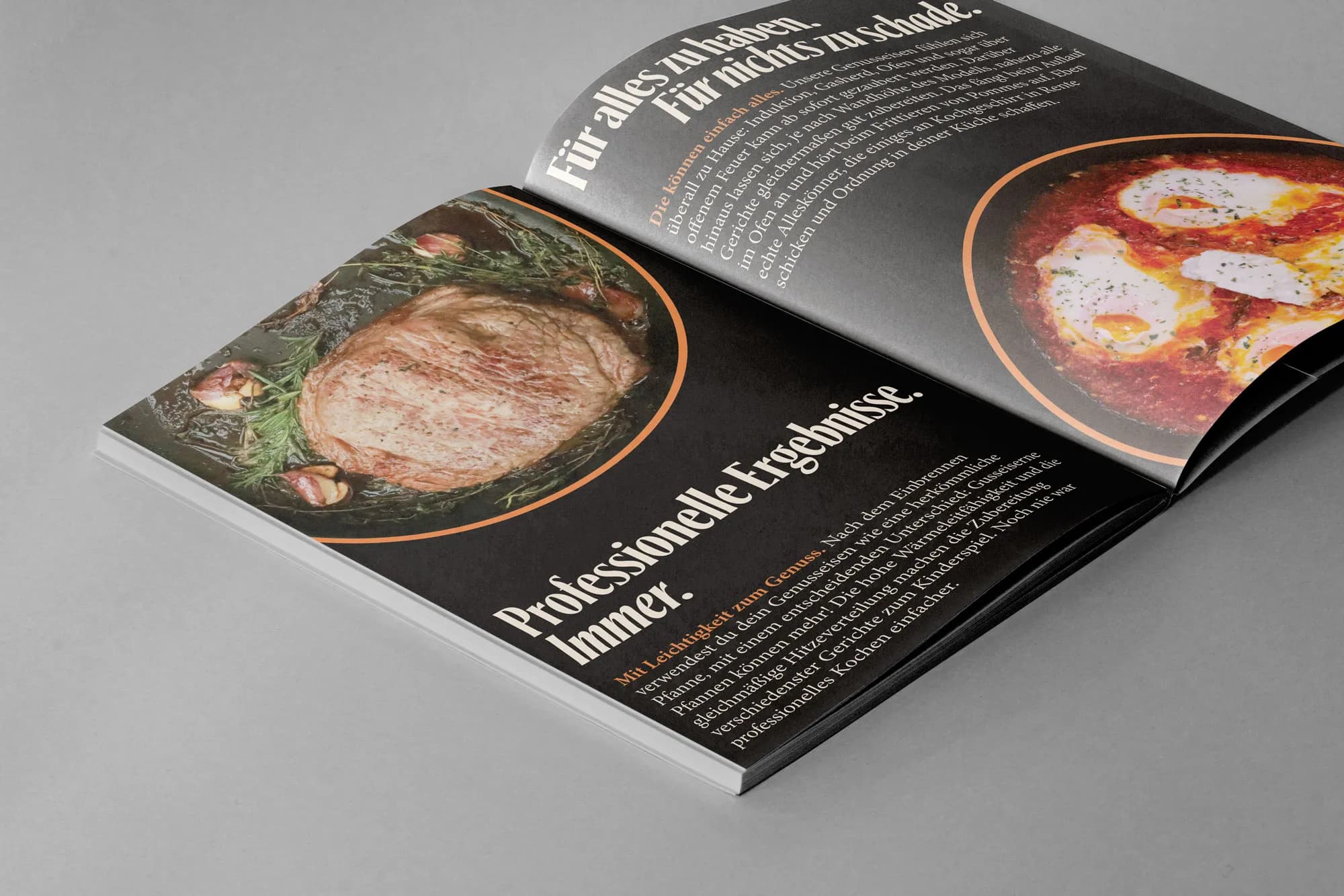 Aufgeschlagener Flyer von Genusseisen mit Rezeptfotos und dem Satz „Professionelle Ergebnisse. Immer.“