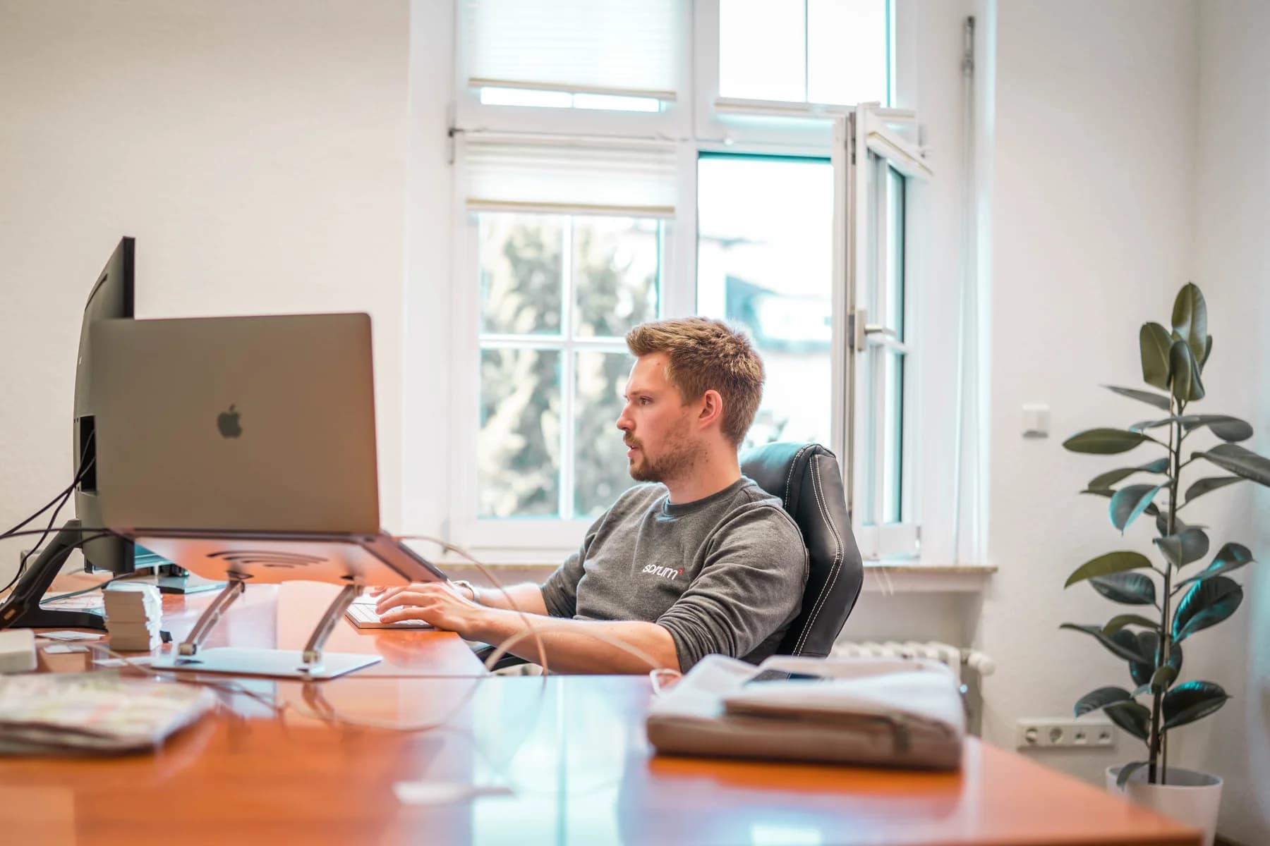 Konzentrierte Arbeit am Bildschirm im Büro von sorum